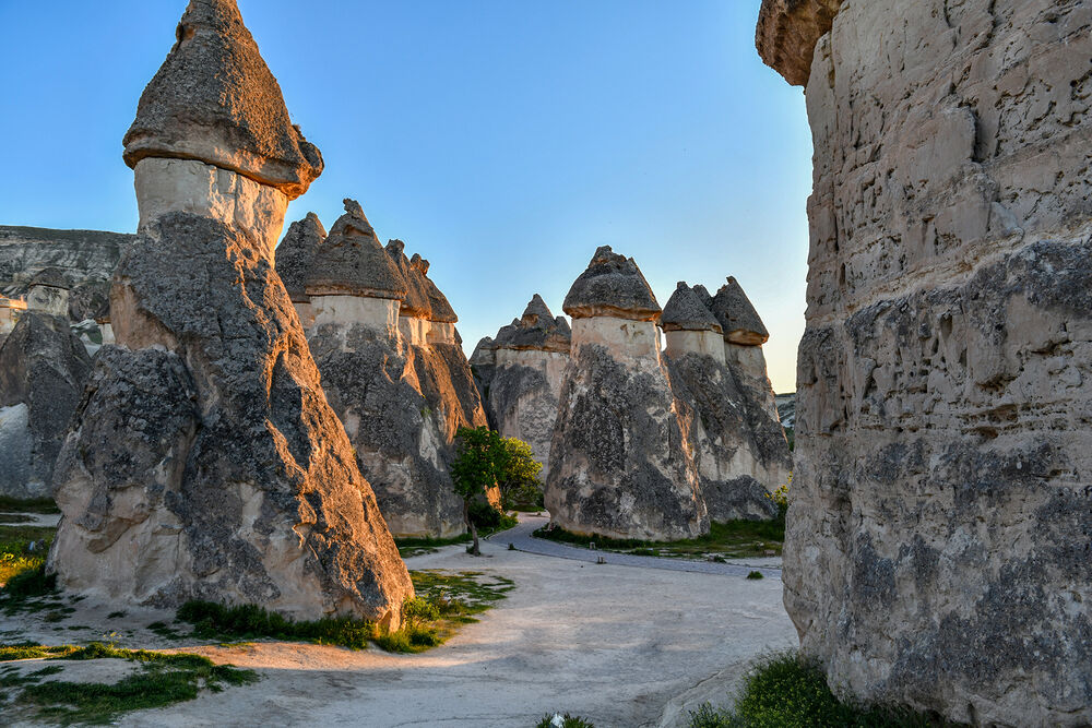 Mushroom-shaped fairy chimneys at Paşabağ
