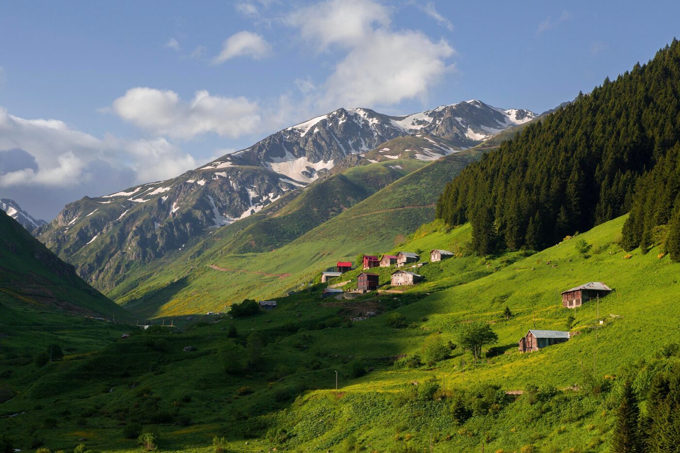 A green valley with highland houses in the Black Sea mountains